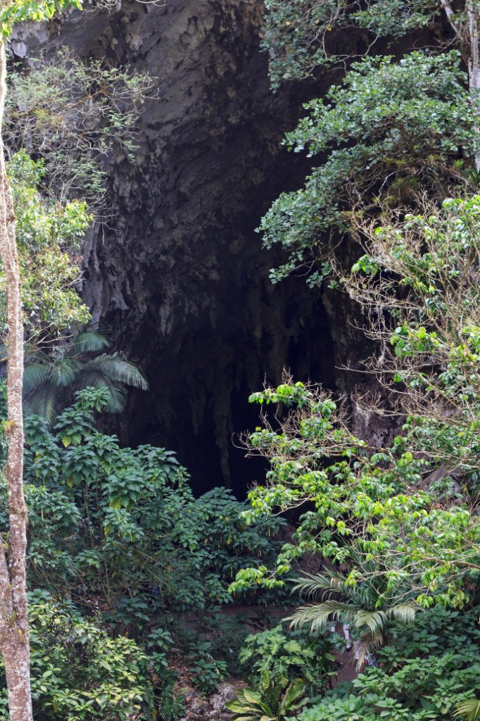 03-The Cueva del Guacharo.jpg - The Cueva del Guácharo